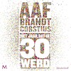 Het jaar dat ik 30 werd - Aaf Brandt Corstius (ISBN 9789052860435)