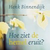 Hoe ziet de hemel eruit? - Henk Binnendijk (ISBN 9789043535069)