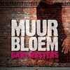 Muurbloem - Gaby Rasters (ISBN 9789462176195)