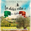 Een raadselachtige biecht - Valentina Morelli (ISBN 9789026163265)