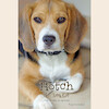 Hotch de Beagle - Tessa Gottschal (ISBN 9789071878268)
