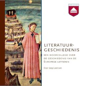 Literatuurgeschiedenis - Joep Leerssen (ISBN 9789461490056)