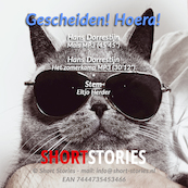 Gescheiden! Hoera! - Hans Dorrestijn (ISBN 7444735453466)
