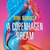 A Copenhagen Dream - erotic short story - Terne Terkildsen (ISBN 9788726265798)