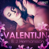 Valentijn – erotisch verhaal - B. J. Hermansson (ISBN 9788726302523)