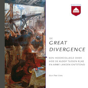 De Great Divergence - Peer Vries (ISBN 9789085302247)
