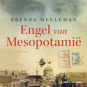 Engel van Mesopotamië - Brenda Meuleman (ISBN 9789026352454)