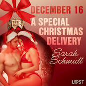 December 16: A Special Christmas Delivery – An Erotic Christmas Calendar - Sarah Schmidt (ISBN 9788726760286)