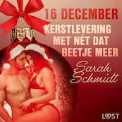 16 december: Kerstlevering met nét dat beetje meer – een erotische adventskalender - Sarah Schmidt (ISBN 9788726760309)