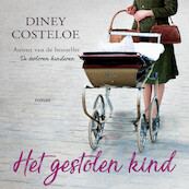Het gestolen kind - Diney Costeloe (ISBN 9789026158469)