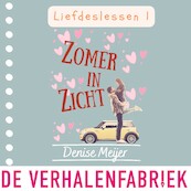 Zomer in zicht - Denise Meijer (ISBN 9789461098481)