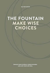 The fountain, make wise choices - Els van Steijn (ISBN 9789083183657)