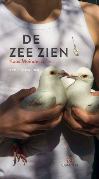 De zee zien - Koos Meinderts (ISBN 9789047621607)