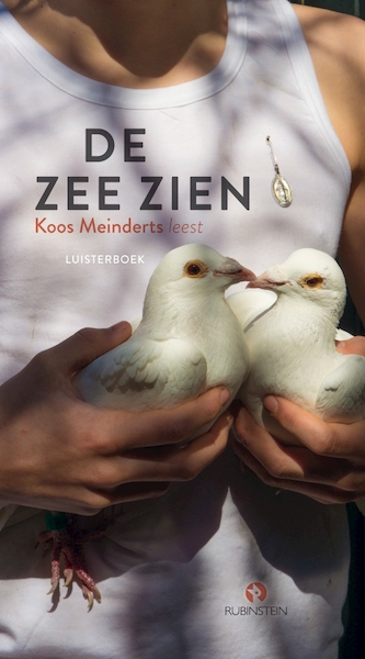 De zee zien - Koos Meinderts (ISBN 9789047622499)