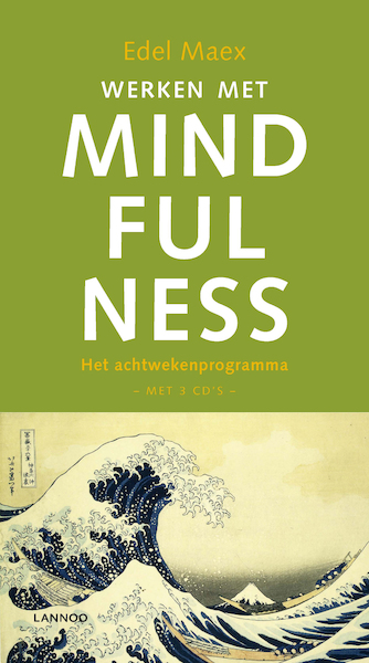 Werken met mindfulness - Edel Maex (ISBN 9789020999051)