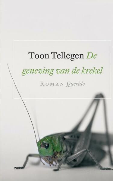De genezing van de krekel - Toon Tellegen (ISBN 9789021436272)