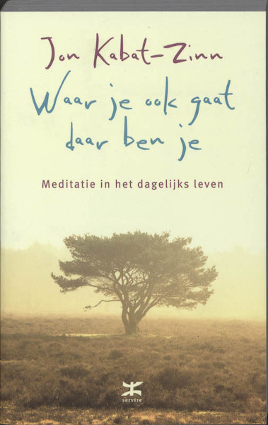 Waar je ook gaat, daar ben je - J. Kabat-Zinn (ISBN 9789021545677)