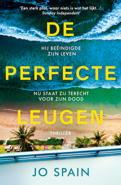 De perfecte leugen - Jo Spain (ISBN 9789026159442)