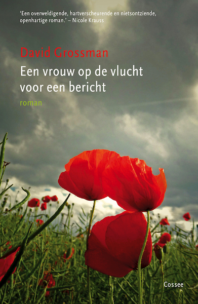 Een vrouw op de vlucht voor een bericht - David Grossman (ISBN 9789059366343)