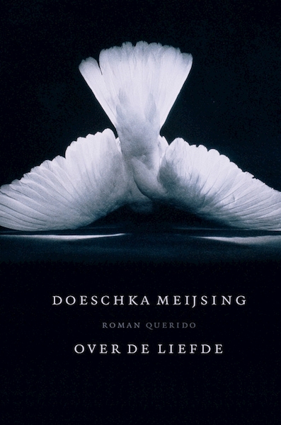 Over de liefde - Doeschka Meijsing (ISBN 9789461495150)
