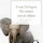 Het wezen van de olifant