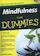 Mindfulness voor Dummies