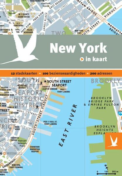 New York in kaart - Raphaelle Vinon, Christine Barrely, Victoria Jonathan, Nicolas Peyroles, Gabriella Gershenson (ISBN 9789025752996)