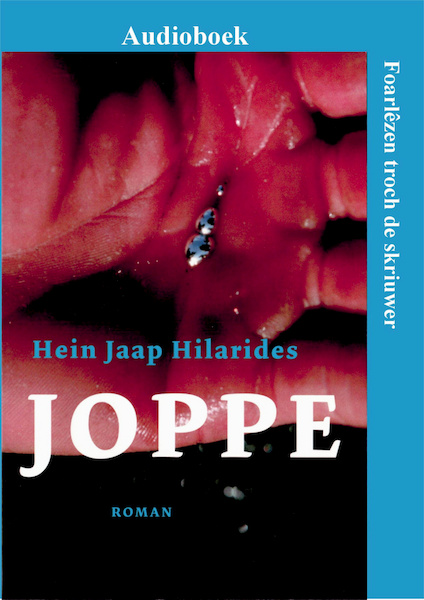 Joppe - Hein Jaap Hilarides (ISBN 9789461496560)