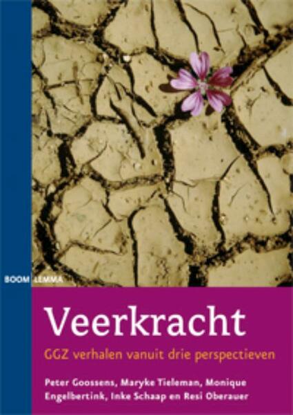 Veerkracht - Peter Goossens, Maryke Tieleman, Monique Engelbertink, Ineke Schaap, Resi Oberauer (ISBN 9789059317703)