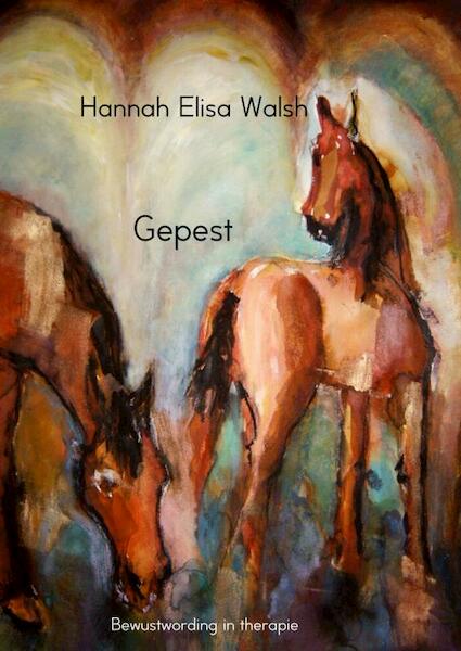 Misbruikt - Hannah Elisa Walsh (ISBN 9789402132915)