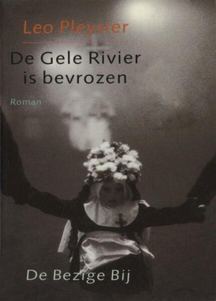 De gele rivier is bevrozen - Leo Pleysier (ISBN 9789023476023)