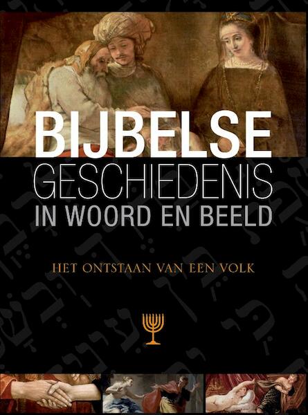 Bijbelse Geschiedenis in woord en beeld - (ISBN 9789461620644)