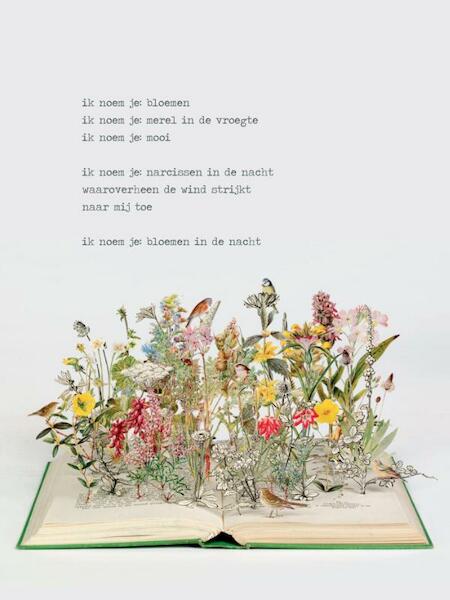 Plint poezieposter ik noem je bloemen Jan Hanlo - Jan Hanlo (ISBN 9789059304666)