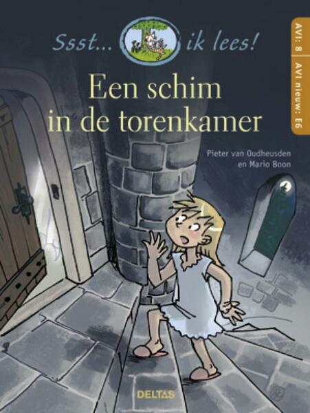 Een schim in de torenkamer - Pieter van Oudheusden (ISBN 9789044726596)