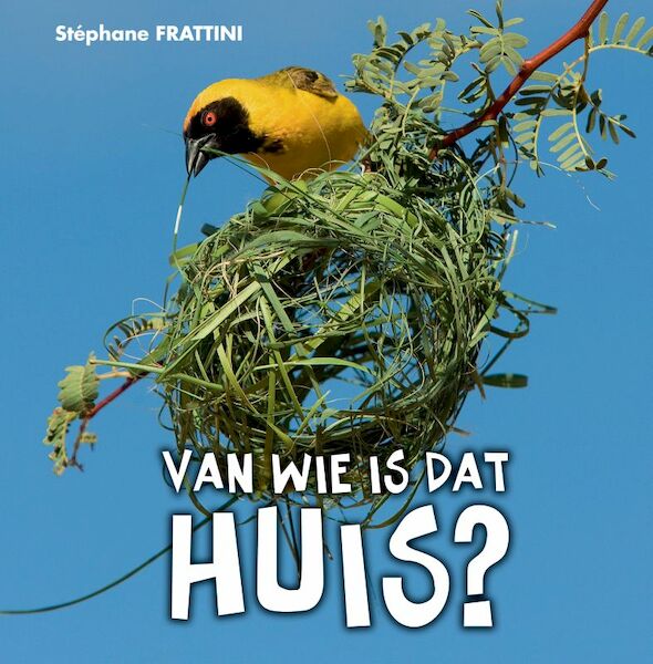 Van wie is dat huis? - Stephane Frattini, Stéphane Frattini (ISBN 9789025746902)