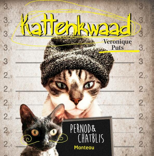 Kattenkwaad - Veronique Puts (ISBN 9789022330883)