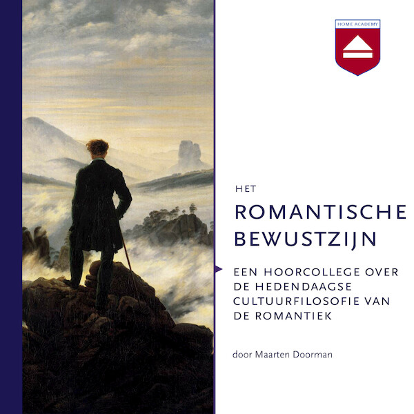 Het romantische bewustzijn - Maarten Doorman (ISBN 9789085309192)