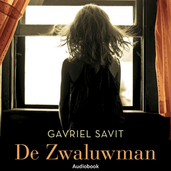 De zwaluwman - Gavriel Savit (ISBN 9789462533196)