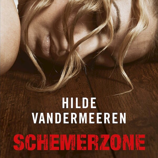 Schemerzone - Hilde Vandermeeren (ISBN 9789021407654)