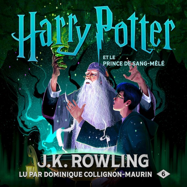 Harry Potter et le Prince de Sang-Mêlé - J.K. Rowling (ISBN 9781781108819)