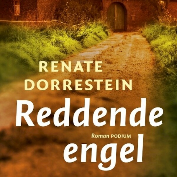 Reddende engel - Renate Dorrestein (ISBN 9789462539273)