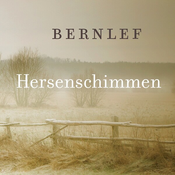Hersenschimmen - Bernlef (ISBN 9789021412689)