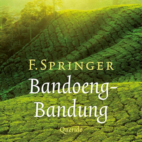 Bandoeng-Bandung - F. Springer (ISBN 9789021414263)