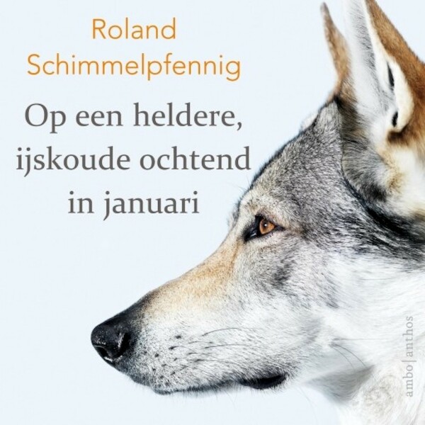 Op een heldere, ijskoude ochtend in januari - Roland Schimmelpfennig (ISBN 9789463620147)
