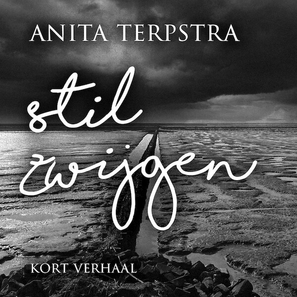 Stilzwijgen - Anita Terpstra (ISBN 9789403126708)
