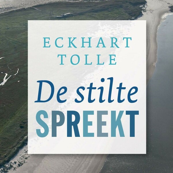 De stilte spreekt - Eckhart Tolle (ISBN 9789020215335)