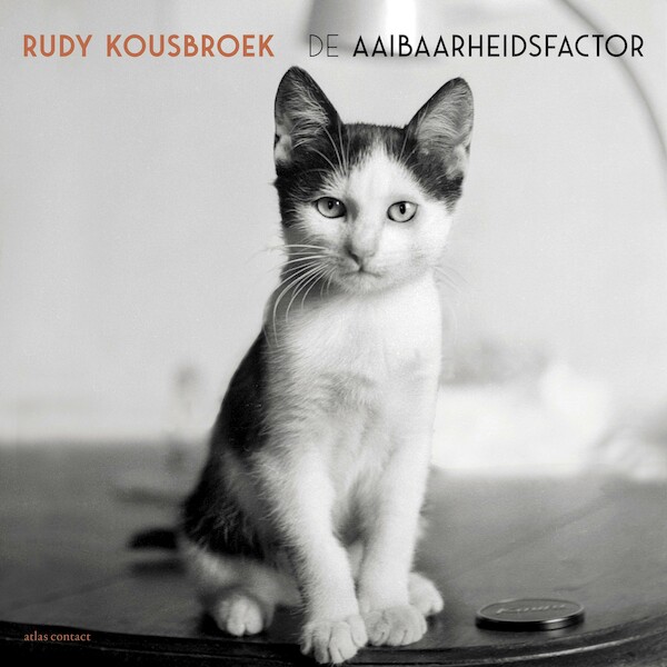 De Aaibaarheidsfactor - Rudy Kousbroek (ISBN 9789025454432)