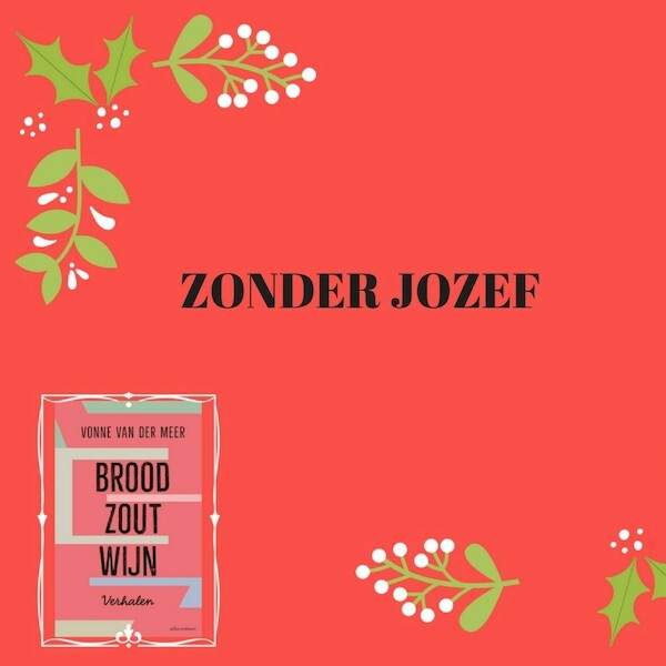 Zonder Jozef - Vonne van der Meer (ISBN 9789025454692)