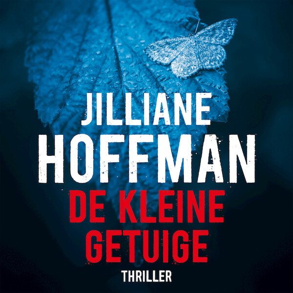 De kleine getuige - Jilliane Hoffman (ISBN 9789026148422)