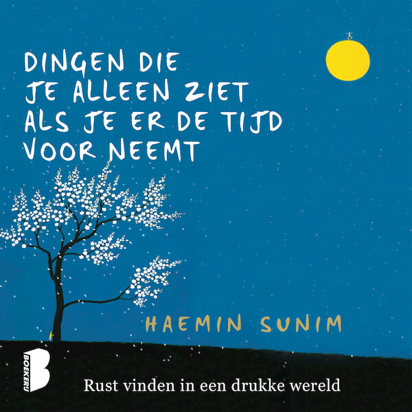 Dingen die je alleen ziet als je er de tijd voor neemt - Haemin Sunim (ISBN 9789052861586)